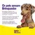 Bola Para Cachorros Brinquedo Pet 80mm Big BULL borracha maciça bolinha lisa pula pula - comprar online