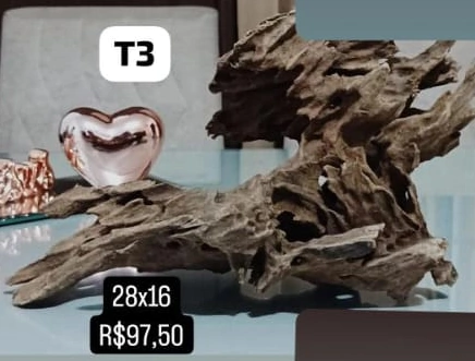 Imagem do RAIZ ORNAMENTAL HONEYCOMBED