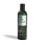 PURIFY SHAMPOO