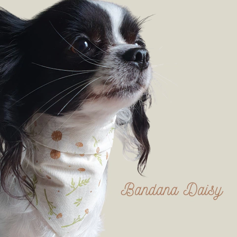 Bandana Daisy - comprar online