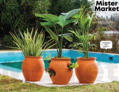 Maceta Terracota Barro Agustiniana Rustica Clasico Jardin Decoracion Blum - comprar online