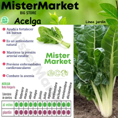Semillas Huerta Acelga Profesional Cultivo Hortalizas Eco en internet