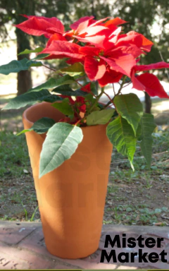Maceta Terracota Barro Cono Clasico Jardin Decoracion Blum - tienda online
