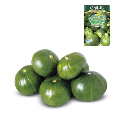 Semillas Zapallito Redondo Huerta Cultivo Hortalizas Eco