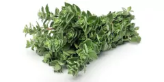 Semillas Oregano Profesional Huerta Cultivo Floral Eco - comprar online