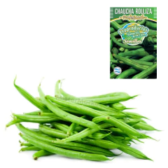 Semillas Chaucha Rolliza Profesional Cultivo Hortalizas Eco