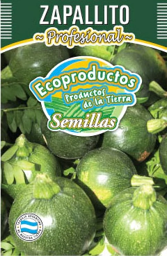 Semillas Zapallito Redondo Huerta Cultivo Hortalizas Eco en internet
