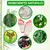 10 Parches Detox Kinoki Para Pies x1 lleva 2 - Deshoping