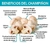 Champiñones 200g en internet