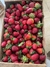 Frutillas 1kg.