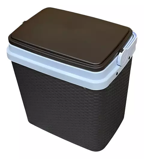 Conservadora Heladera Nevera Plástica Símil Ratán 35 Lt. - comprar online