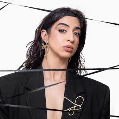 Brinco Eixo na internet