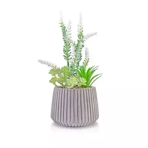 Planta con maceta angel 15x22cm
