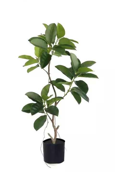 Planta Artificial Decorativa Ficus Gomero 150 cm