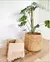 Canasto jacinto 26x34cm natural