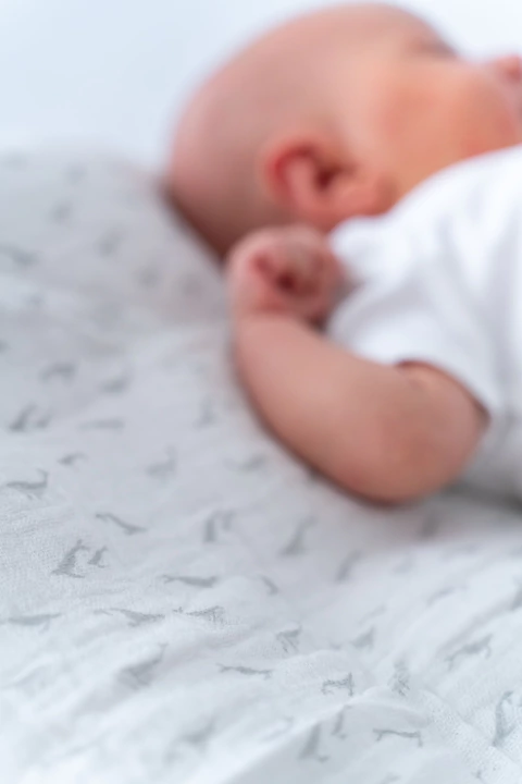 Pack Babitas - comprar online