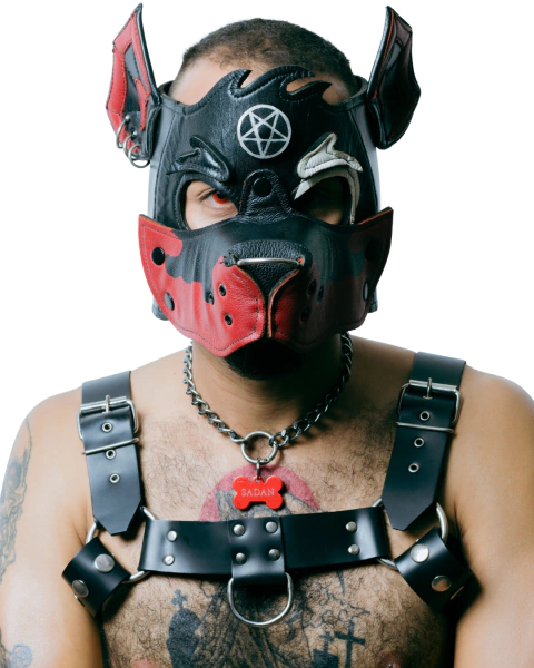 HARNESS SADAN - comprar online