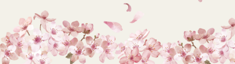Banner da categoria Hinoki