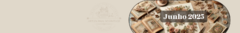 Banner da categoria Junho 2025