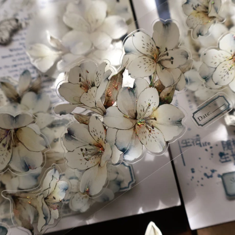 Loop pet tape Yier Studio - Black and White Narrative (Foil 5,5cmx1m)