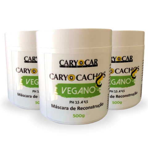 Combo C/3 unidades Máscara de reconstrução Vegano 500G - Caryocar