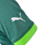 Camisa Palmeiras I 23/24 Jogador Puma Masculina - Verde - LOJA TORCIDA APAIXONADA