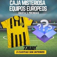 CAJA MISTERIOSA EUROPEA!!! HASTA 5 PRENDAS - ENVIO GRATIS!! - ZREADY