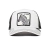 Gorra Exxxtreme Goorin BROS G31010003-100