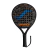Paleta Paddle Sharper Snauwaert AC43 - comprar online