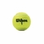 Tubo Championship Extra Duty WILSON T1001 - comprar online