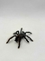 Tarantula de dedos rosas (Avicularia avicularia) - AVIC6549 na internet