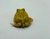 Rã Pacman (Ceratophrys cranwelli) - PAC ALB 5451 na internet