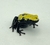 Dendrobates galactonotus amarelo (Adelphobates galactonotus) - GALAC3229 - Reserva Dracaena