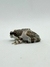 MILKFROG (Trachycephalus resinifictrix) - MF 2912 - comprar online