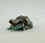 MILKFROG (Trachycephalus resinifictrix) - MF 3218 - comprar online