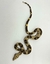 Jiboia (Boa constrictor) - Boa 3078 - comprar online