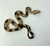 Jiboia (Boa constrictor) - Boa 3065 - comprar online