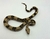 Jiboia (Boa constrictor) - Boa 3063 - comprar online