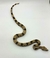 Jiboia (Boa constrictor) - Boa 3062