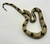 Jiboia (Boa constrictor) - Boa 3068 - comprar online