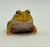 Rã Pacman (Ceratophrys cranwelli) - PAC ALB 5116 - comprar online