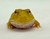 Rã Pacman (Ceratophrys cranwelli) - PAC ALB 5325 - comprar online