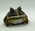 Rã Pacman (Ceratophrys cranwelli) - PAC COL 9984 - comprar online
