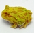Rã Pacman (Ceratophrys cranwelli) - PAC ALB 5332 - loja online