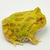 Rã Pacman (Ceratophrys cranwelli) - PAC ALB 5332 - Reserva Dracaena
