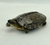 Aperema (Rhinoclemmys punctularia) - APE 5162 - comprar online