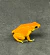 Dendrobate Laranja sólido (Adelphobates galactonotus) - GALAC 5740 - loja online