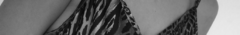 Banner de la categoría VESTIDOS