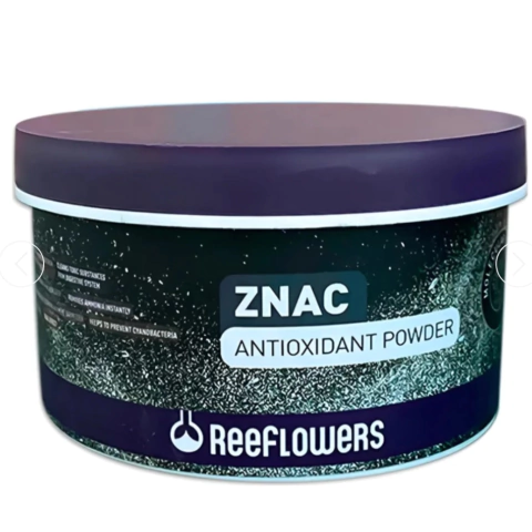 Znac Antioxidante Powder Reeflowers 150g Clareia A Água