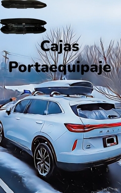 Banner de la categoría Cajas Portaequipaje de Techo tipo THULE: Aerodinámicas y Seguras | GP Automotriz